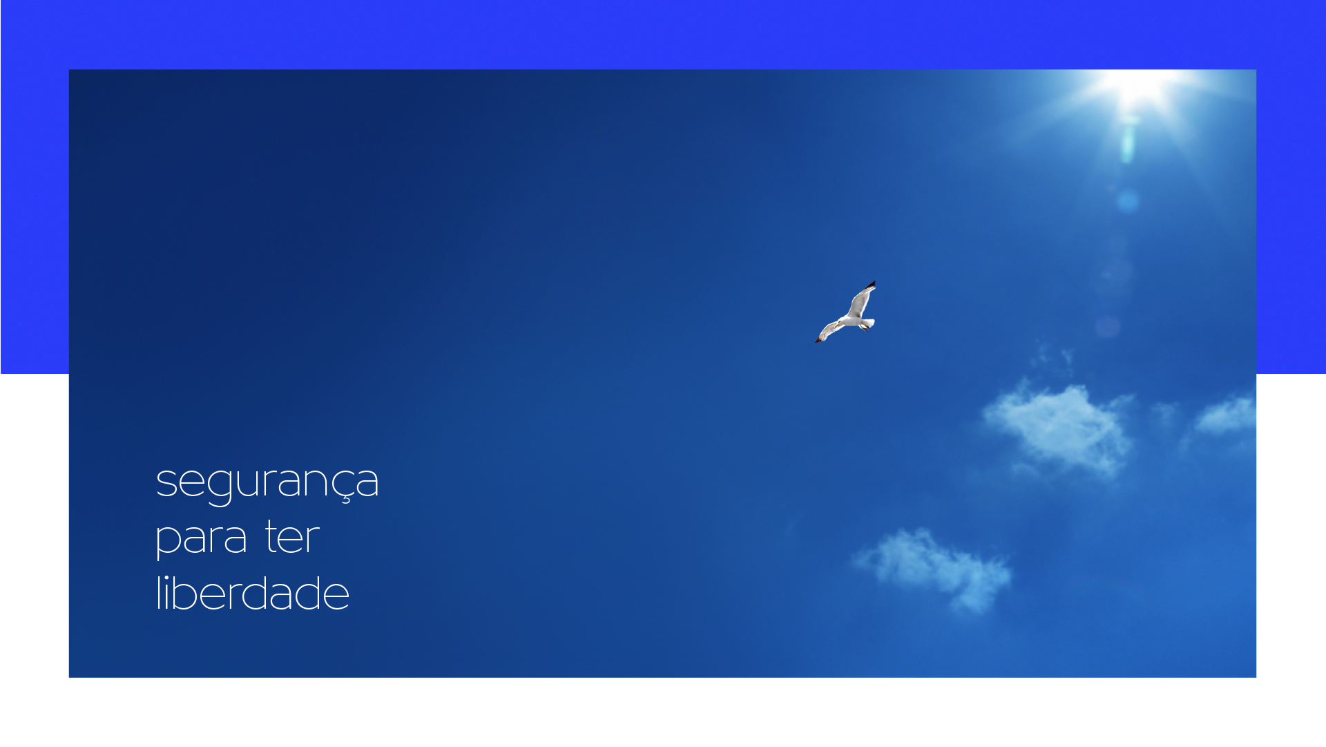 Portfolio Agência Jung