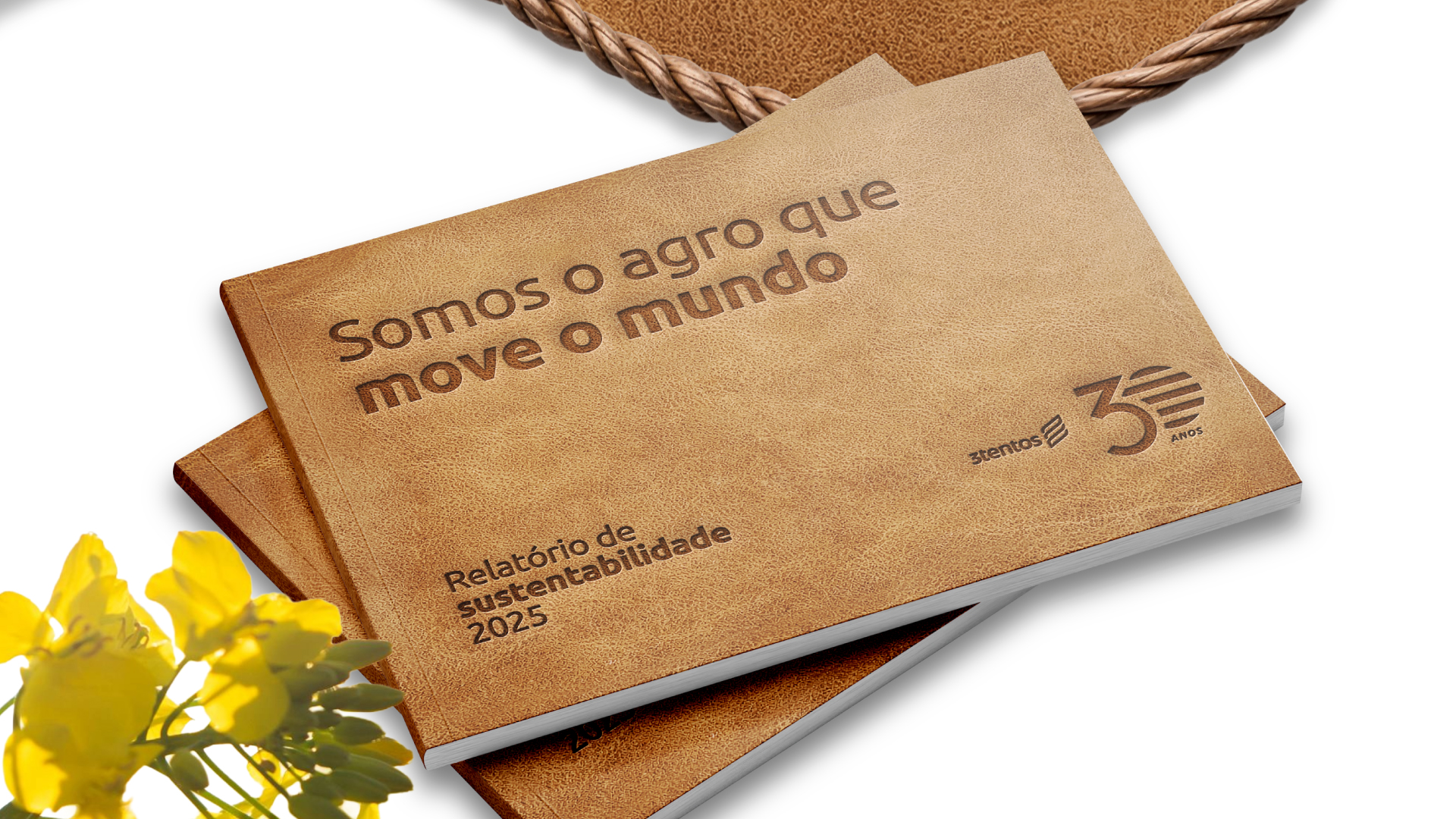 Portfolio Agência Jung Relatório de Sustentabilidade 2025 - 3tentos