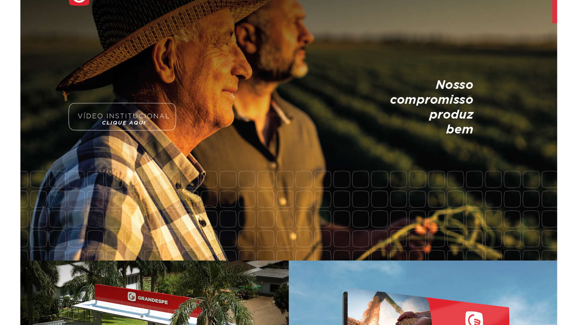 Portfolio Agência Jung Marca Grandespe - 
