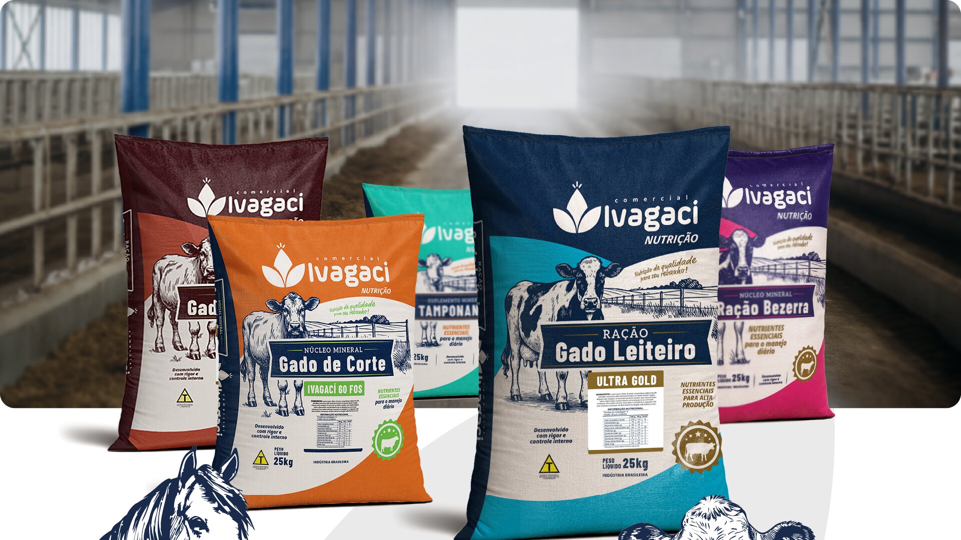 Portfolio Agência Jung Embalagens Comercial Ivagaci - 