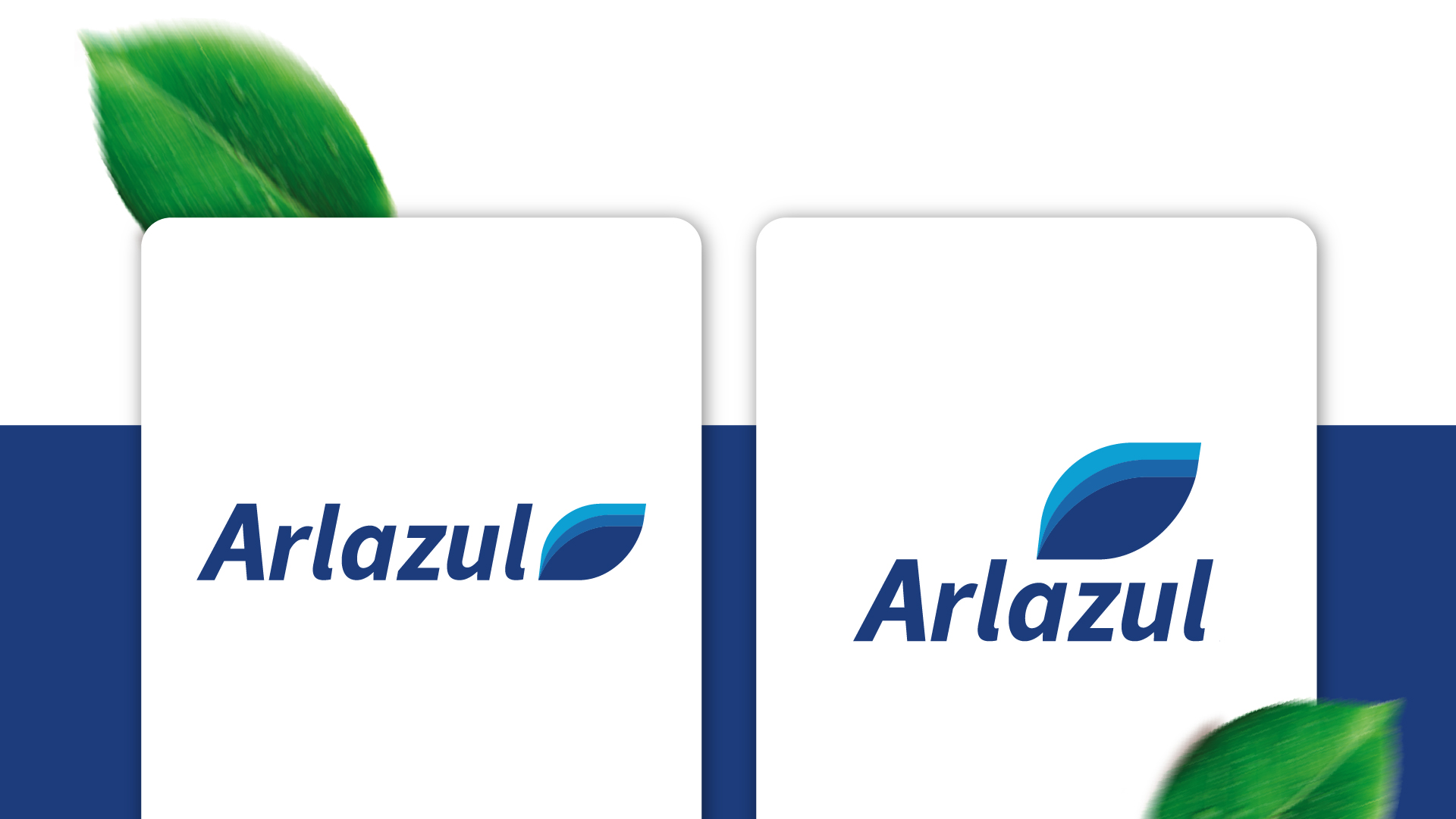 Portfolio Agência Jung Arlazul - 