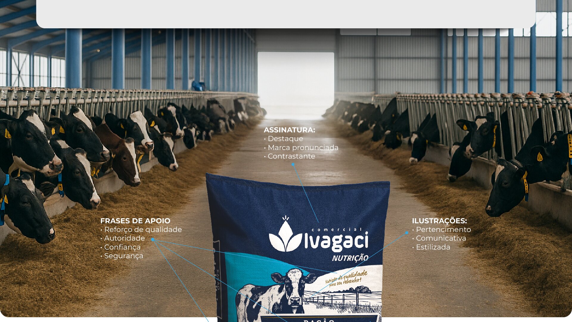 Portfolio Agência Jung Embalagens Comercial Ivagaci - 