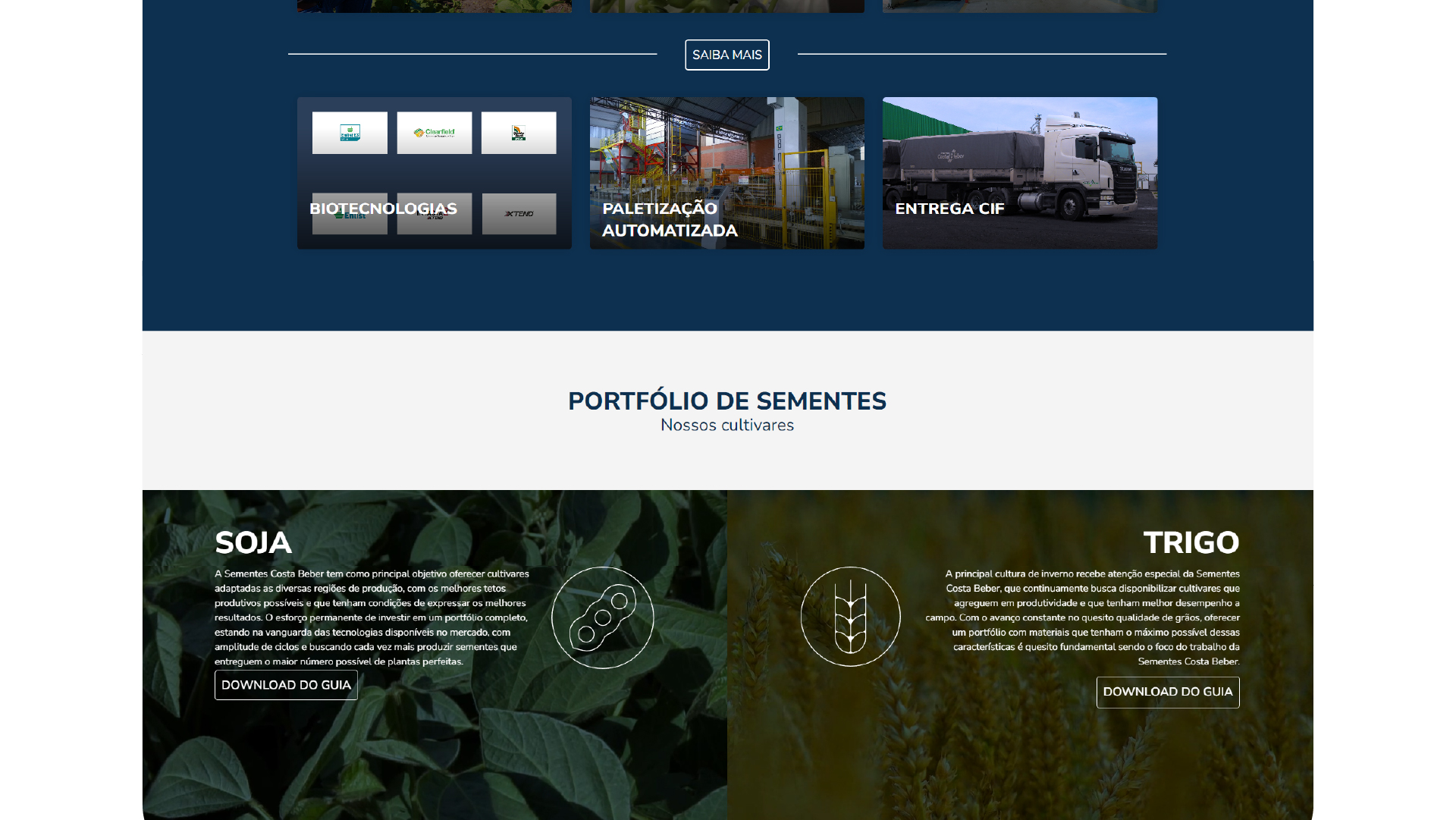 Portfolio Agência Jung Site Sementes Costa Beber - 