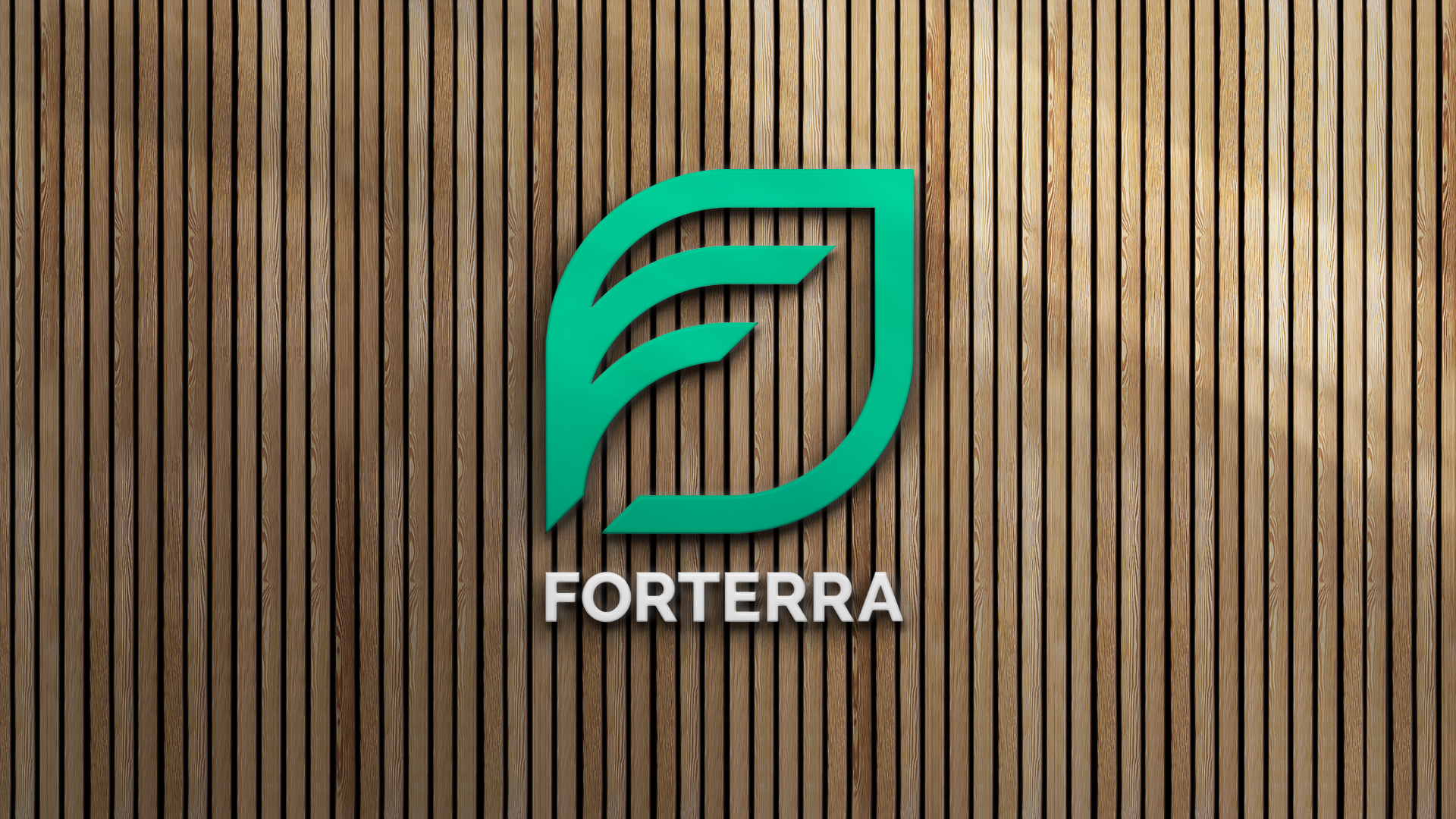 Portfolio Agência Jung Forterra - 