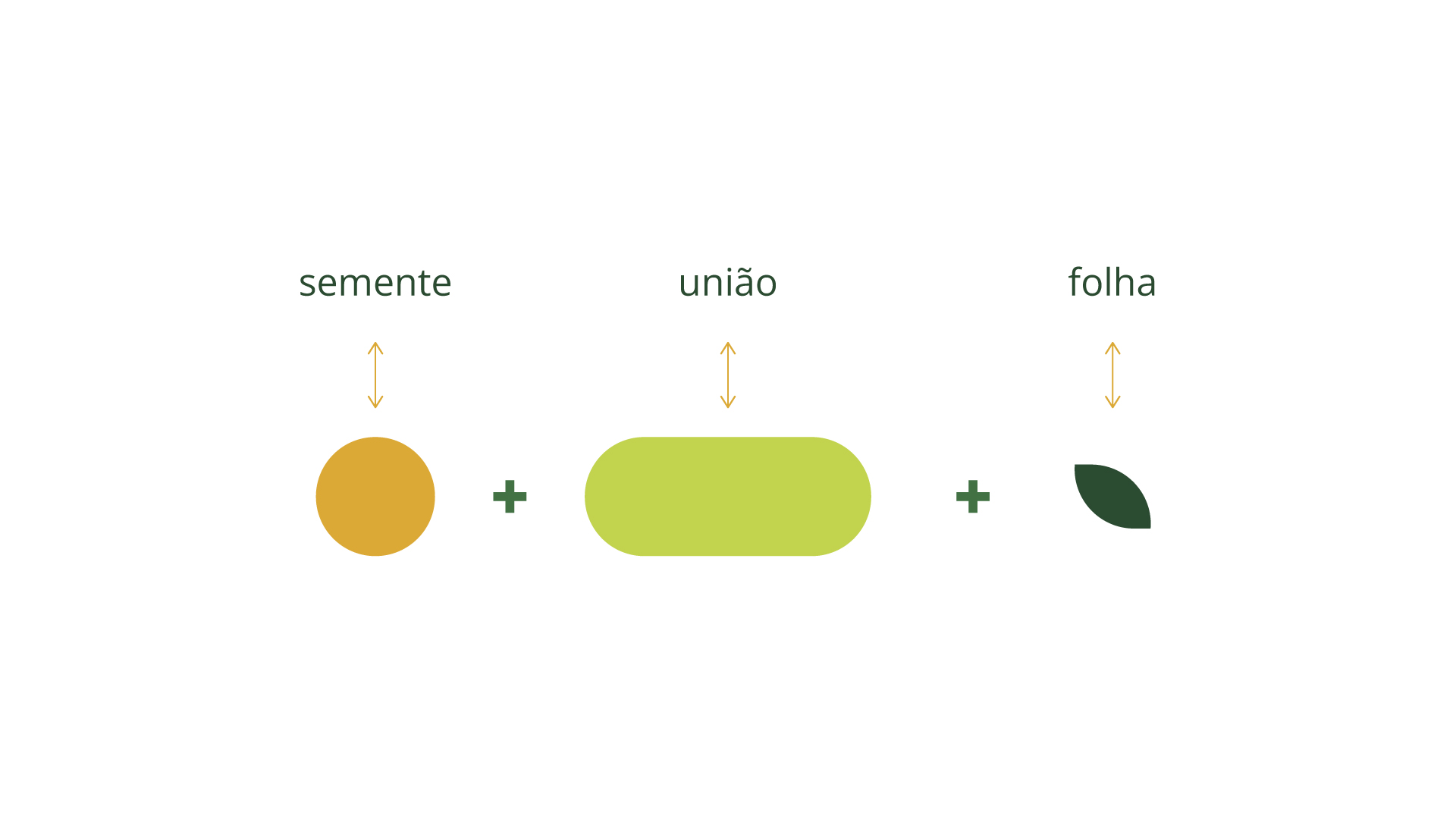 Portfolio Agência Jung Cotriel - 