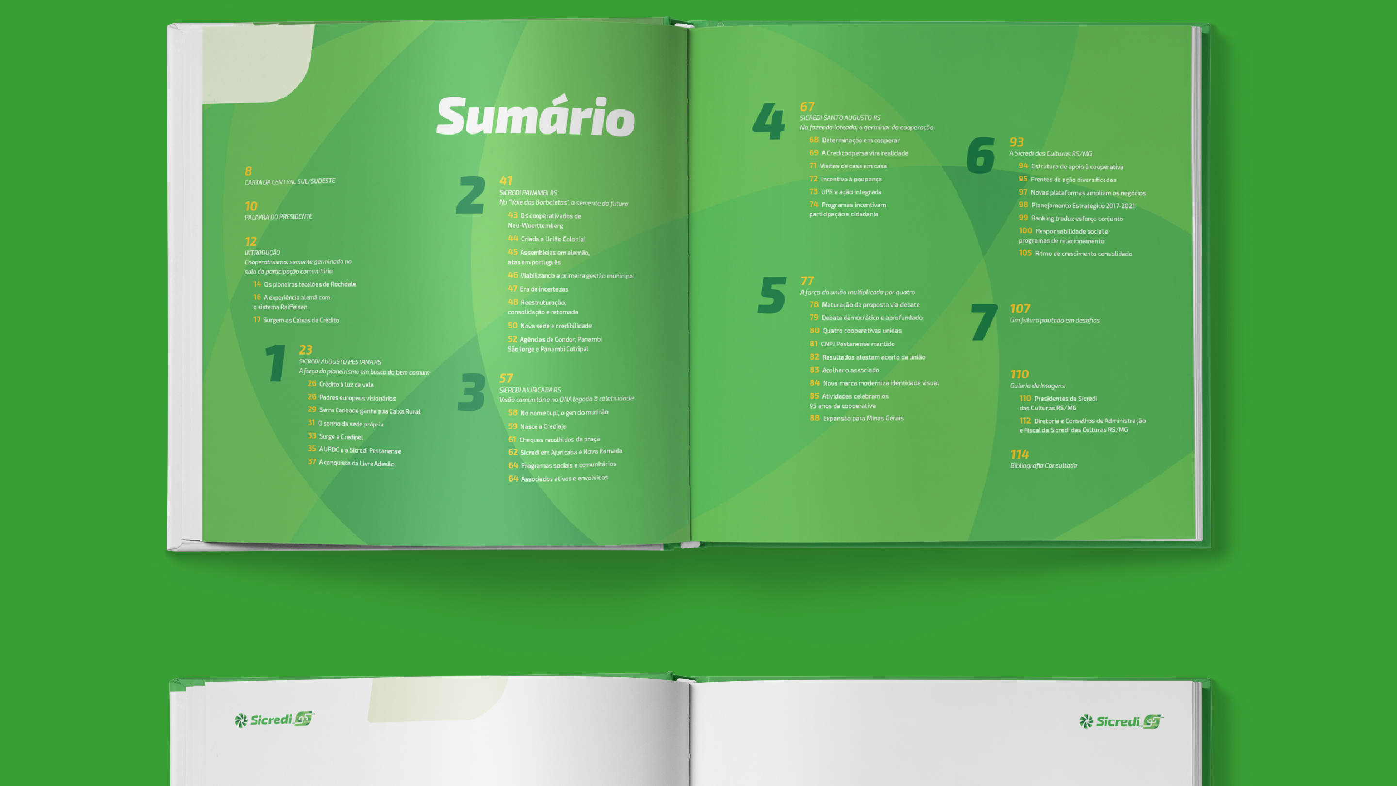 Portfolio Agência Jung Livro Sicredi das Culturas RS/MG - 