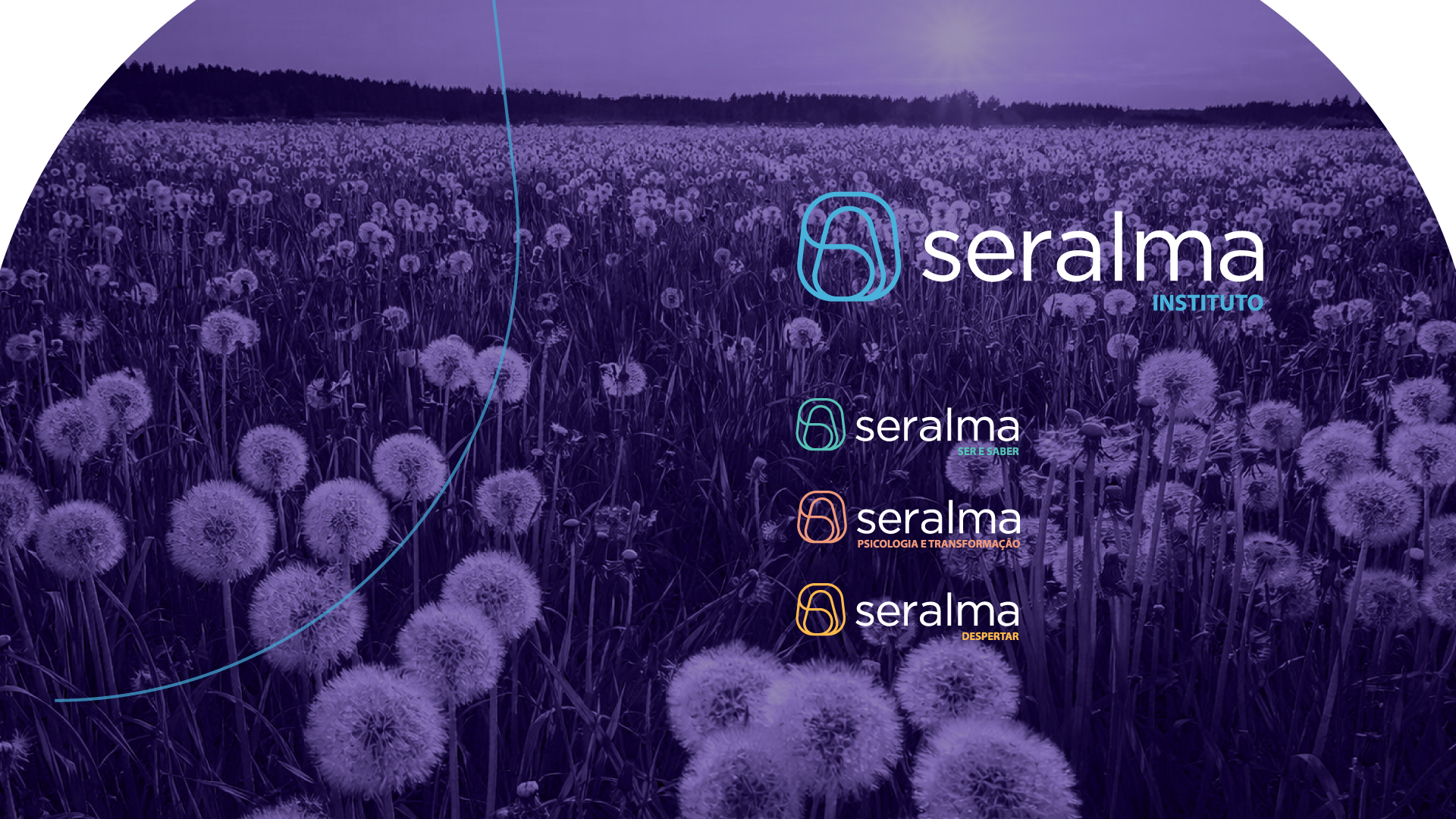 Portfolio Agência Jung Marca Seralma - 