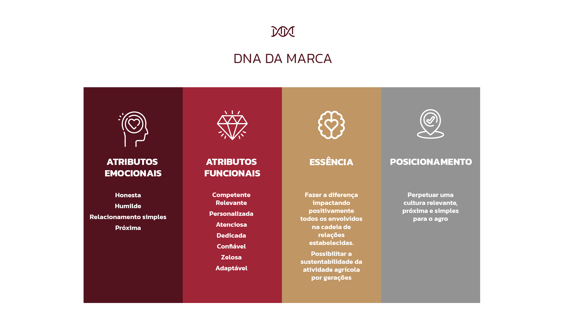 Portfolio Agência Jung Marca Mulinari - 