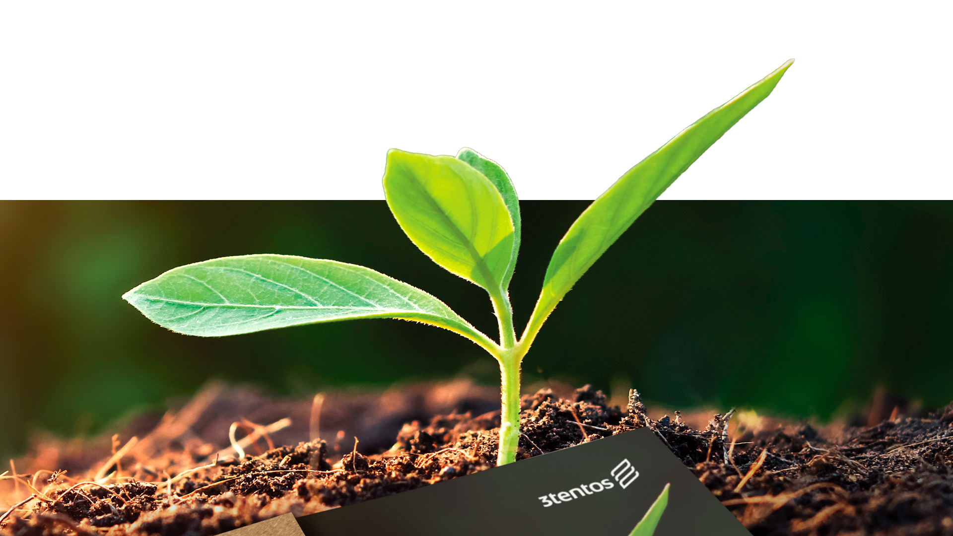 Portfolio Agência Jung Projeto Carbono - 3tentos