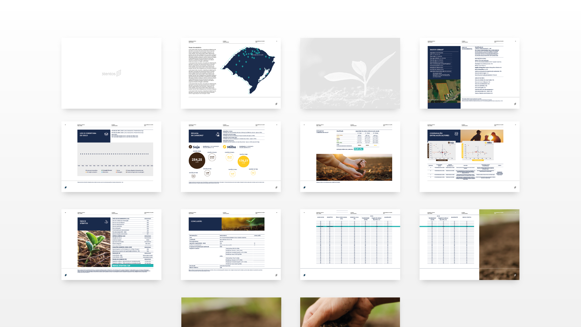 Portfolio Agência Jung Projeto Carbono - 3tentos