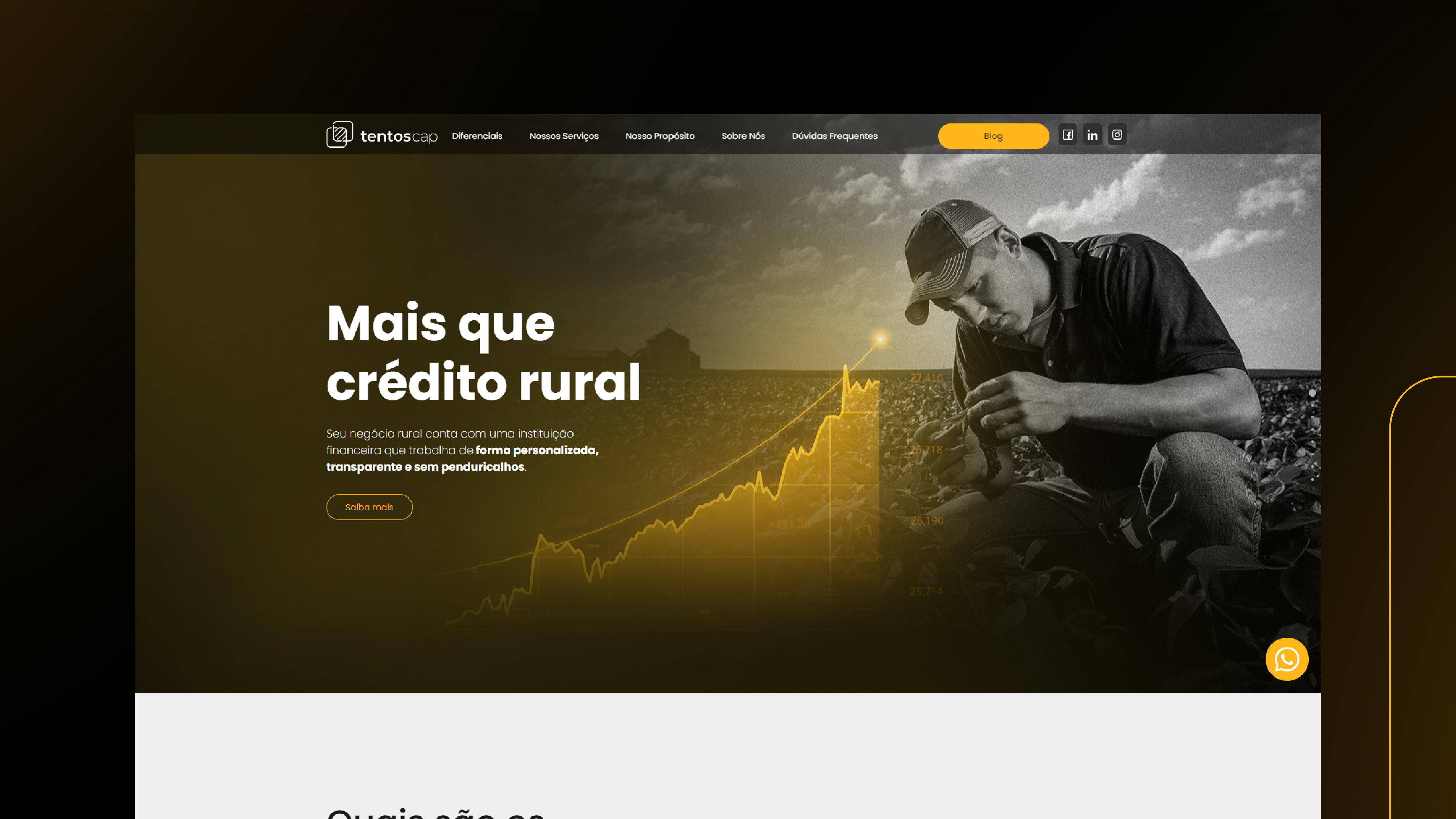 Portfolio Agência Jung Site Tentoscap - 