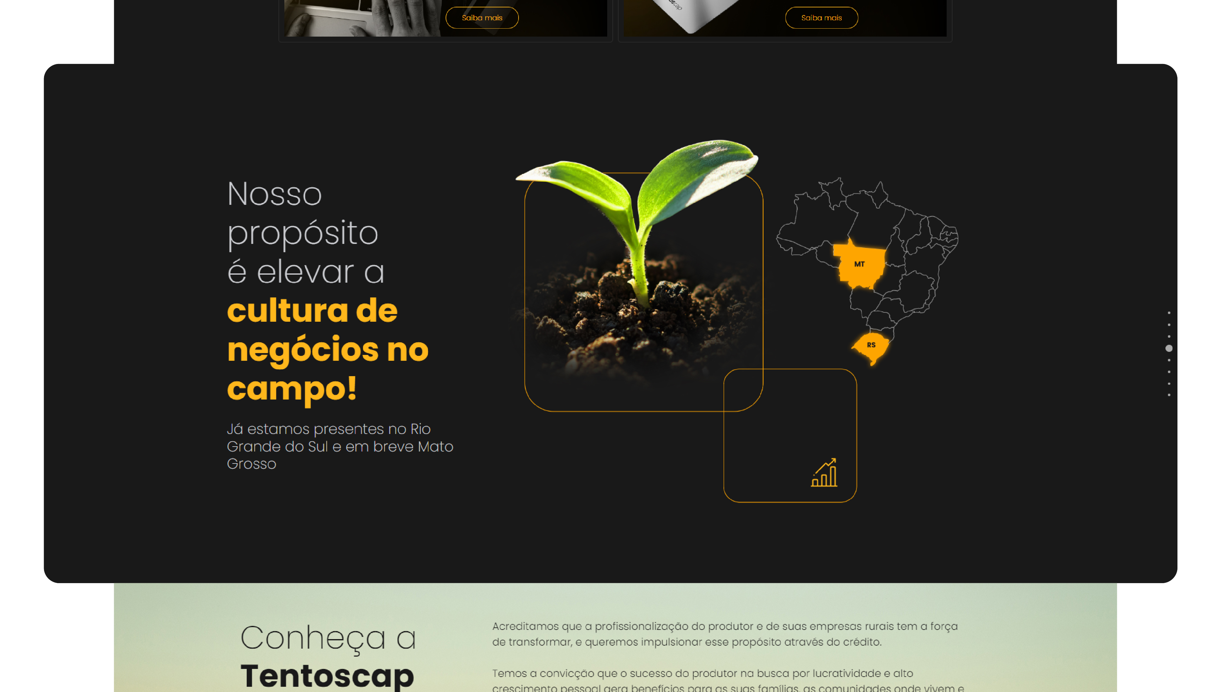 Portfolio Agência Jung Site Tentoscap - 