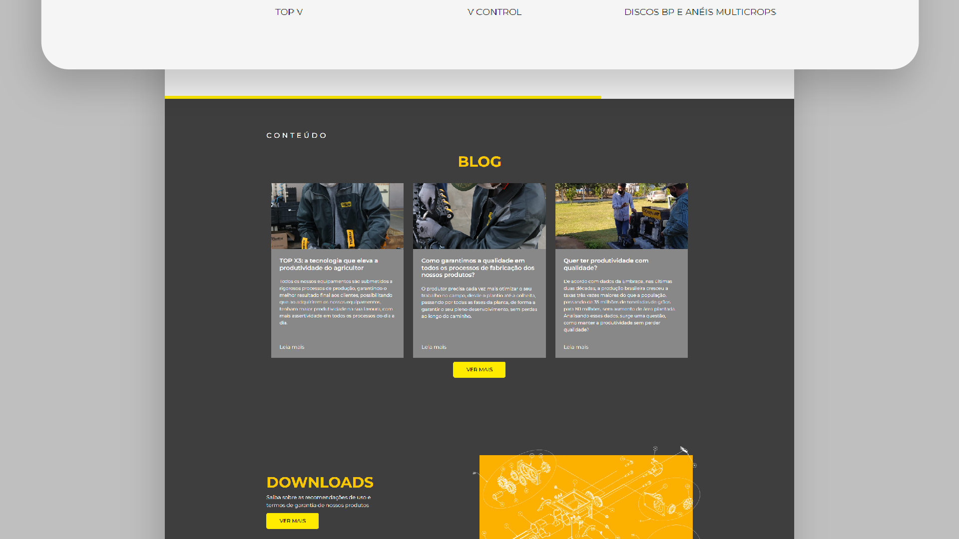 Portfolio Agência Jung Site Toplanting - 