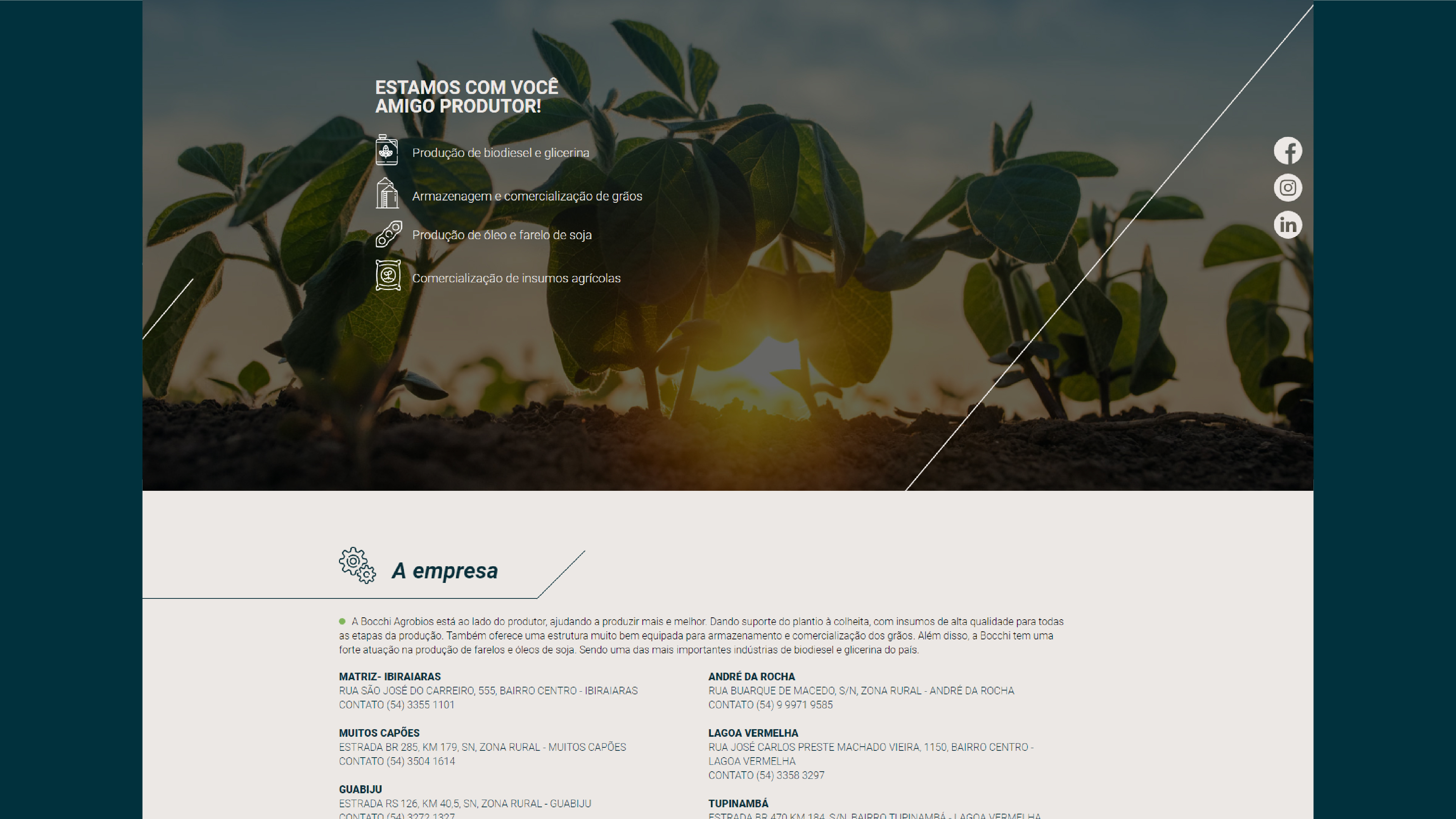 Portfolio Agência Jung Site Bocchi Agrobios - 