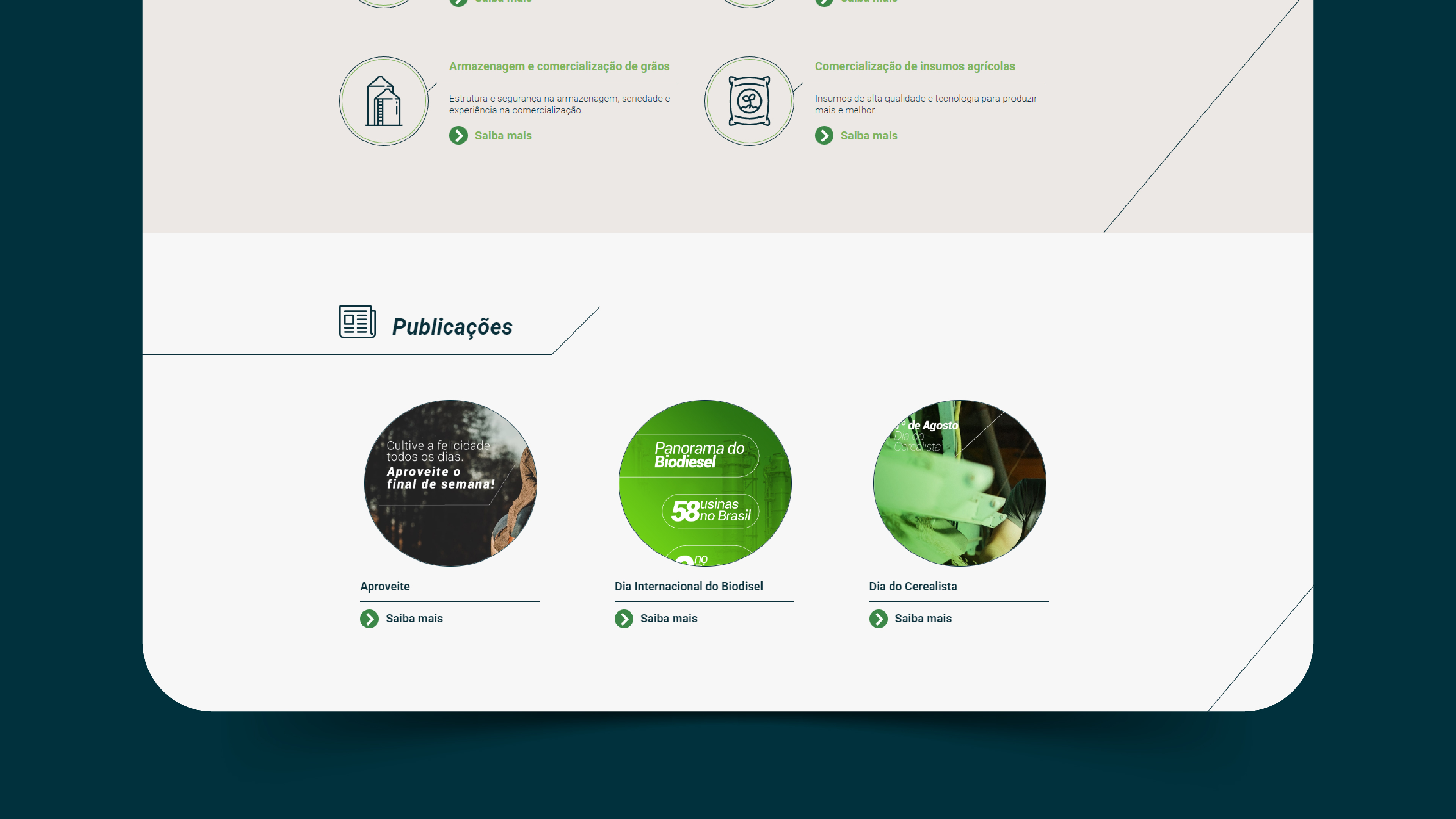 Portfolio Agência Jung Site Bocchi Agrobios - 